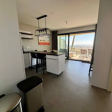 Lejlighed Luxe 2 Chambres, Balcon, Acces Plage, Piscine, Animaux Admis, Parking - Fr-1-194-236 *