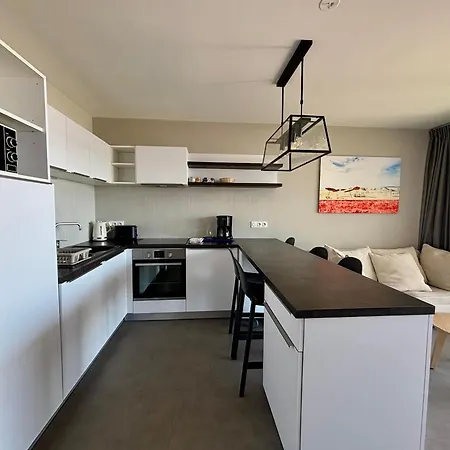Luxe 2 Chambres, Balcon, Acces Plage, Piscine, Animaux Admis, Parking - Fr-1-194-236 *