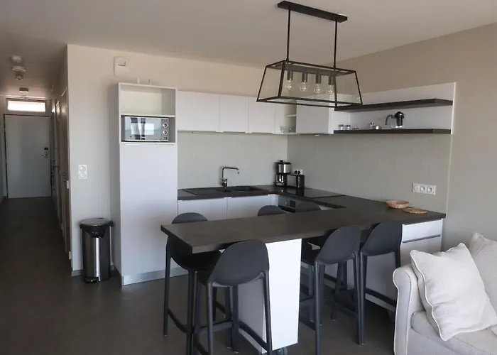 Luxe 2 Chambres, Balcon, Acces Plage, Piscine, Animaux Admis, Parking - Fr-1-194-236 Apartamento *