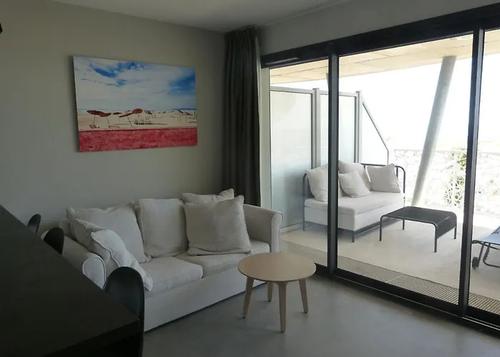 Apartamento Luxe 2 Chambres, Balcon, Acces Plage, Piscine, Animaux Admis, Parking - Fr-1-194-236 *