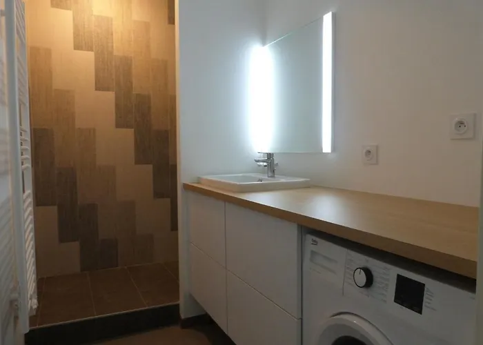 Apartamento Luxe 2 Chambres, Balcon, Acces Plage, Piscine, Animaux Admis, Parking - Fr-1-194-236 *